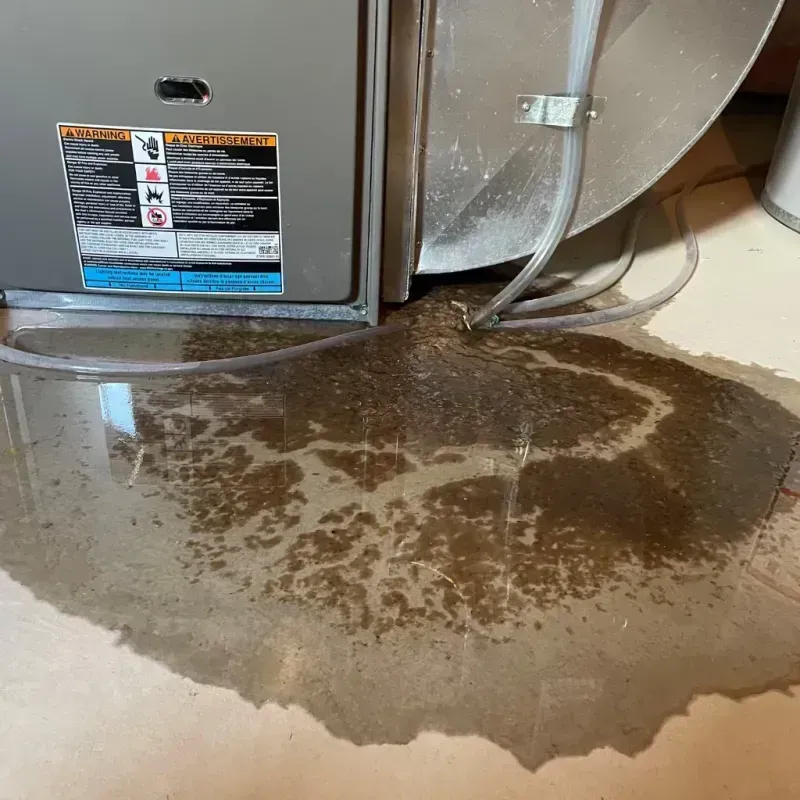 Appliance Leak Cleanup in Sandy, OR